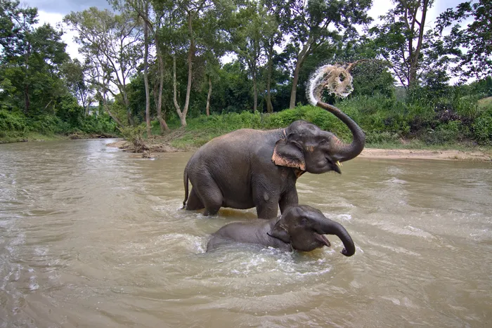 Camping in Thailand