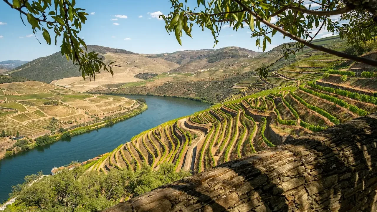 The Enchanting Douro Valley: Sip, Cruise, and Wander Through Portugal’s Wine Paradise