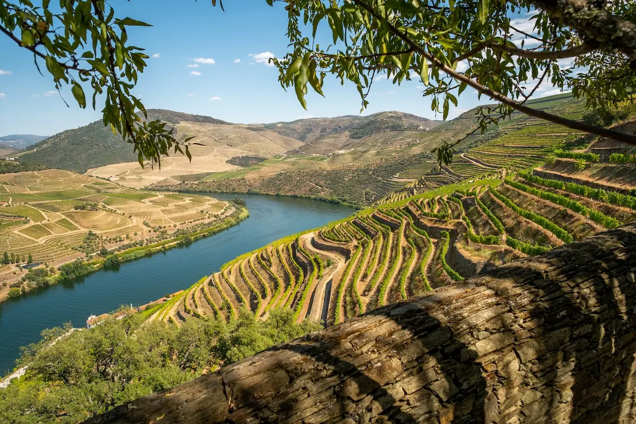 The Enchanting Douro Valley: Sip, Cruise, and Wander Through Portugal’s Wine Paradise