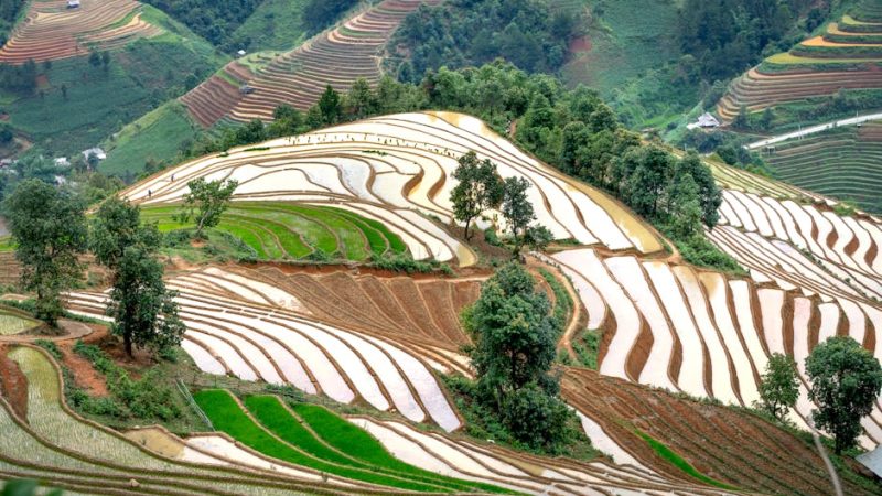 When to Visit Hangzhou: Month-by-Month Guide for First-Time Travelers