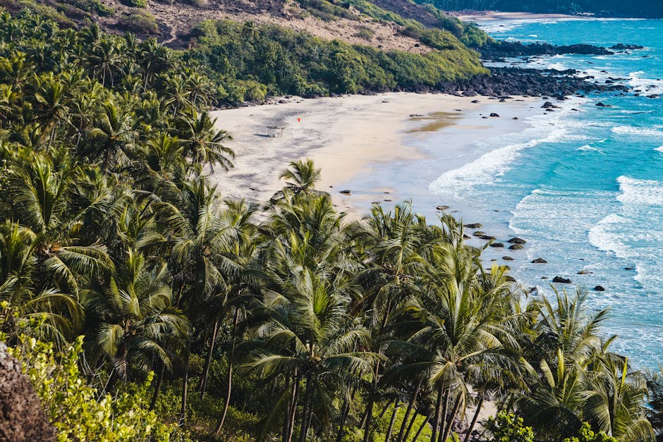 A breathtaking view of a tropical beach with lush palm trees, rocky shore, and azure ocean waves.