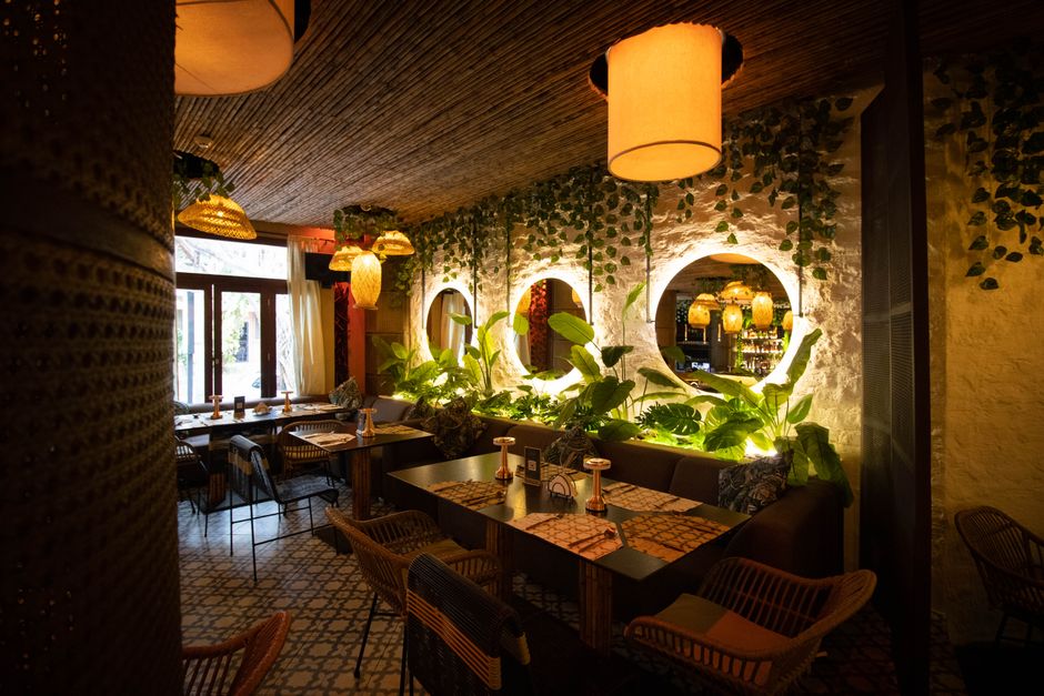 Charming restaurant featuring elegant decor, natural lighting, and lush indoor plants for a warm dining experience.