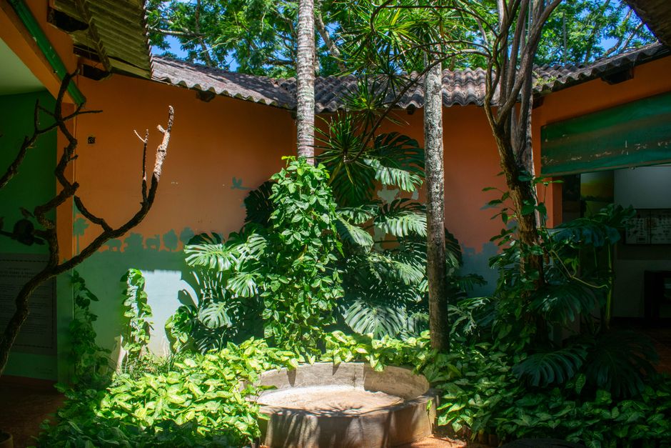 A vibrant courtyard with tropical plants and natural light in Distrito Federal, Brazil.