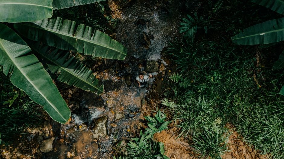 Aerial view of a person standing in a jungle stream surrounded by lush green foliage in Sri Lanka.