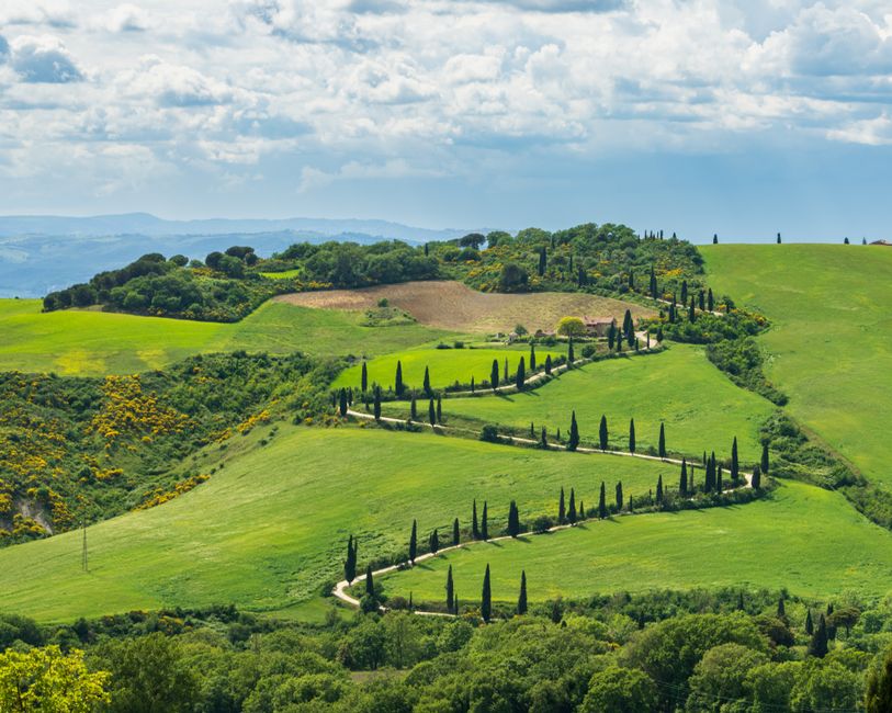 Breathtaking view of Chianciano Terme's rolling hills and cypress trees in Tuscany, Italy.