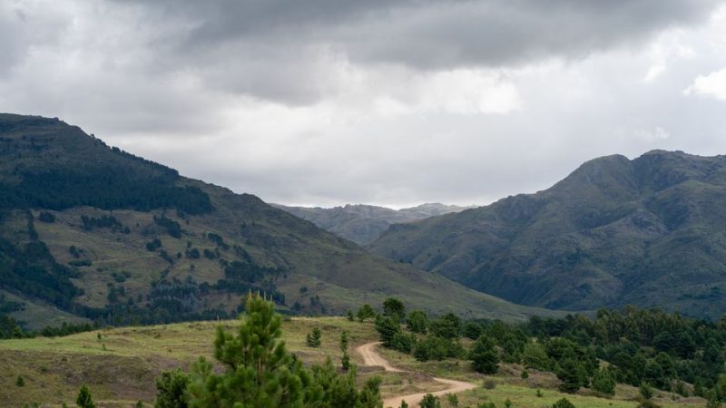 Pacific Crest Trail Backpacking Guide: Start Smart in 2026