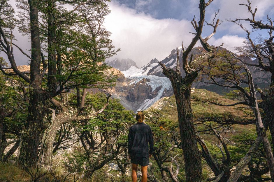 A woman gazes at a breathtaking mountainous landscape while hiking through lush forest.