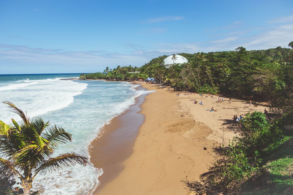 Aerial view of a tropical beach in Rincón, Puerto Rico, with golden sands and lush greenery.