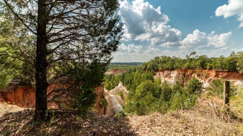 Arkansas Weekend Getaways: The Destinations Worth the Drive