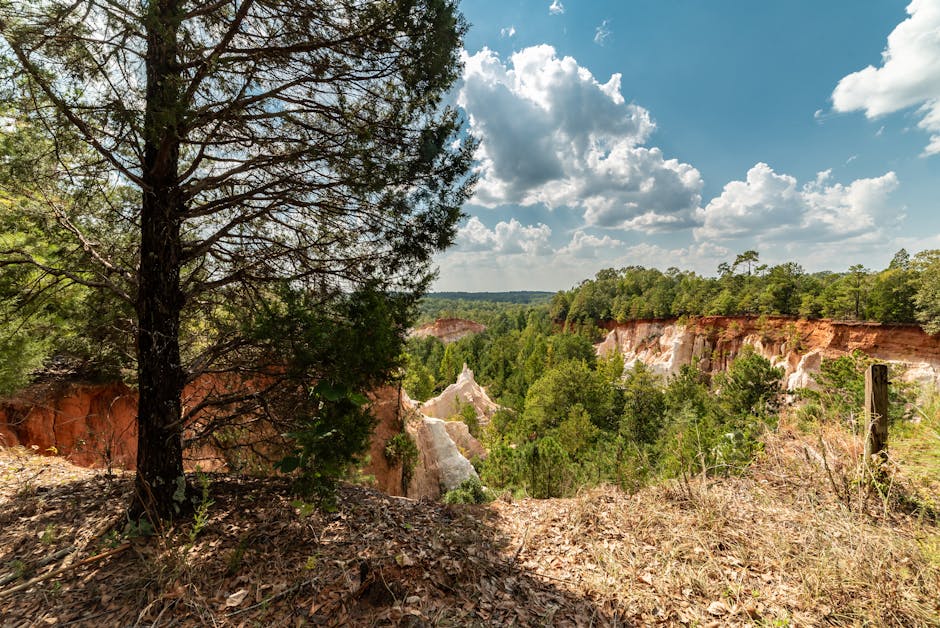 Arkansas Weekend Getaways: The Destinations Worth the Drive
